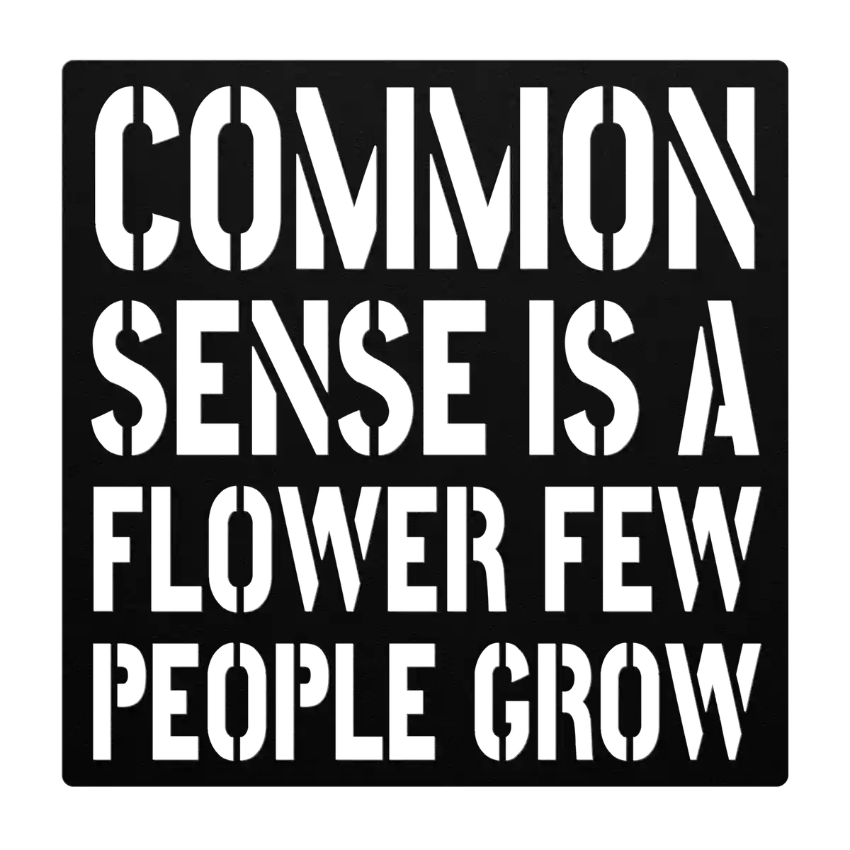 Funny Common Sense Metal Sign