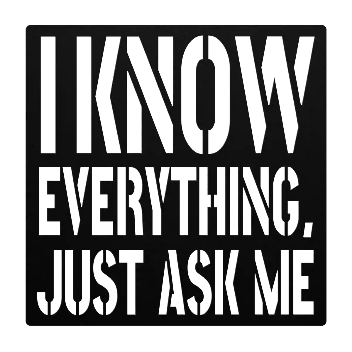 Funny I Know Everything Metal Sign