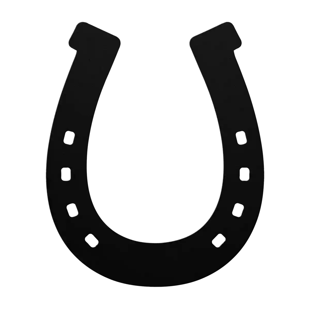 Horseshoe Pin Holes Metal Sign