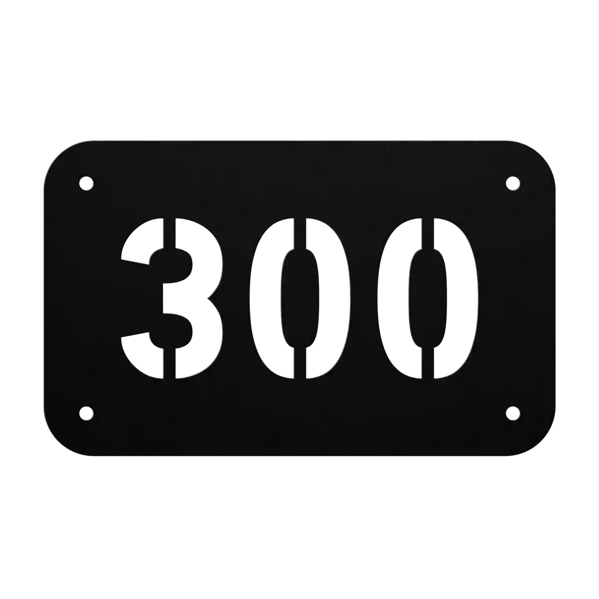 House Number 300