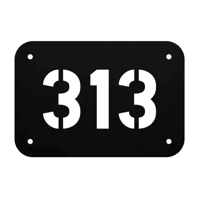 House Number 313